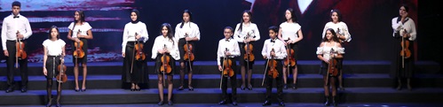 Violin  classes